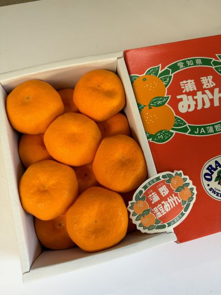 愛知縣蒲郡溫室蜜柑禮盒 