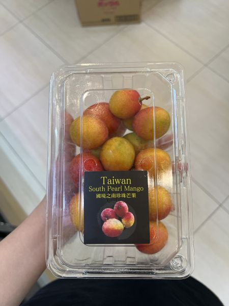 屏東枋山珍珠芒果 