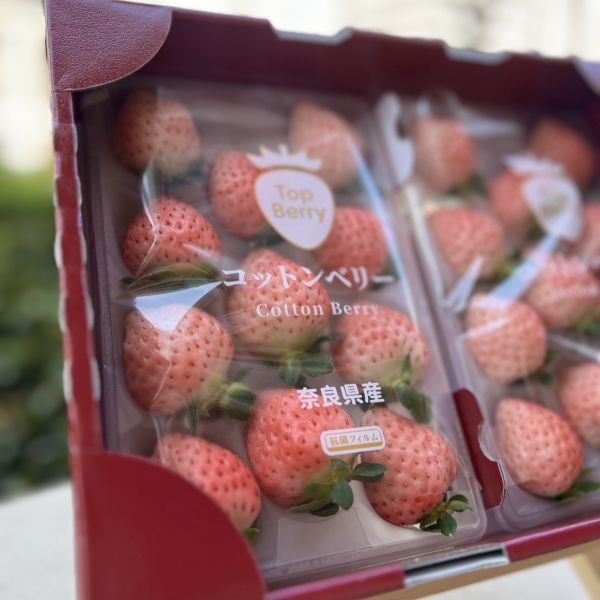 【稀有甜美】奈良棉花糖草莓 