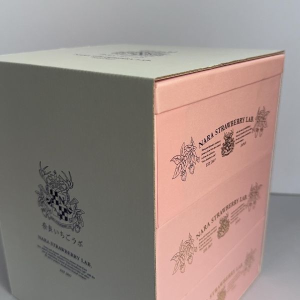 【頂級規格】奈良天皇三色草莓禮盒 