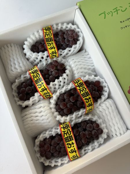 日本山梨珍珠葡萄禮盒 