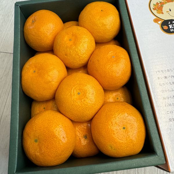 愛媛小太陽蜜柑禮盒 