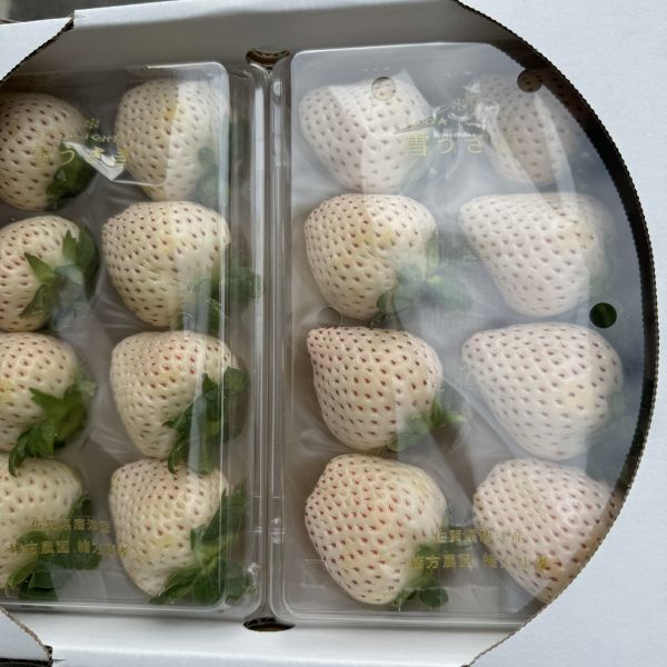 【香甜雪白】佐賀唐津雪兔白草莓 