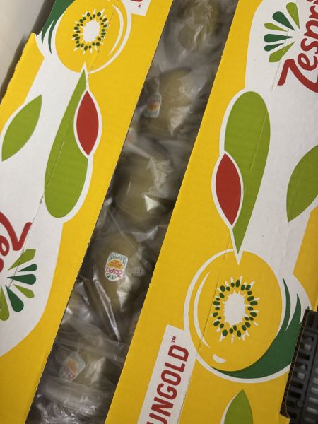 紐西蘭Zespri黃金奇異果 