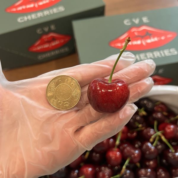 【櫻桃屆LV】紐西蘭空運大嘴巴櫻桃 