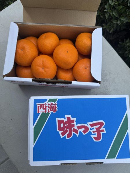 【必吃爆甜】西海味之子蜜柑1.2公斤 