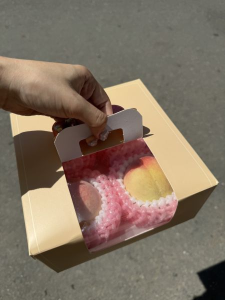 壽康桃野餐盒 
