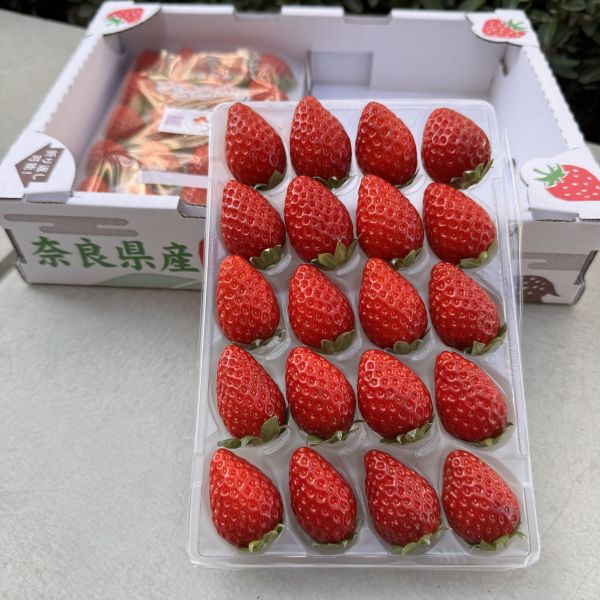 《新品種》奈良之光 