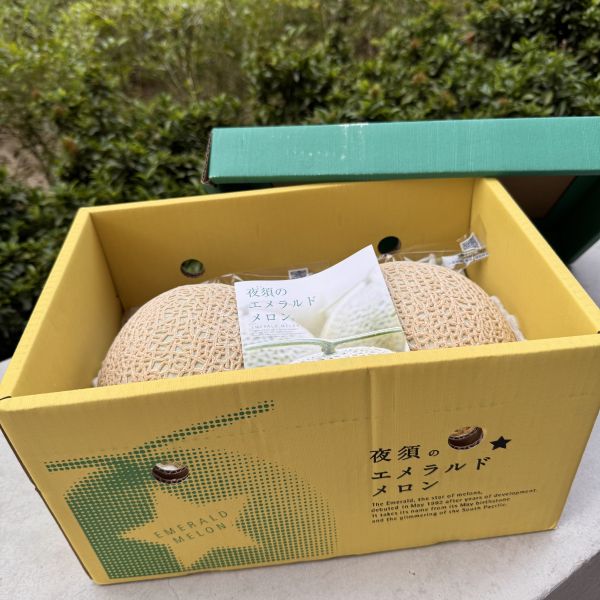 【優惠中】高知縣青肉哈密瓜 