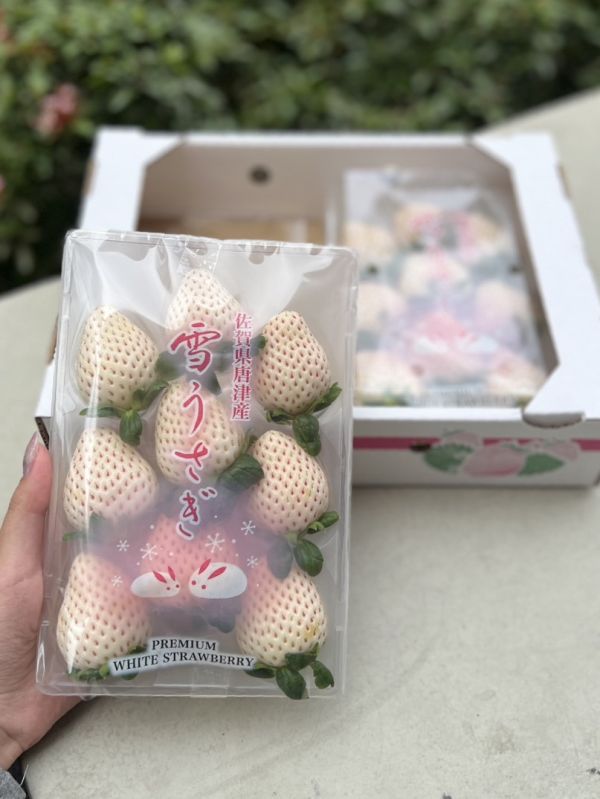 【香甜雪白】佐賀唐津雪兔白草莓 
