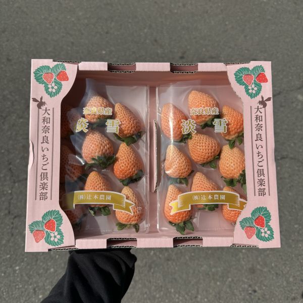 【夢幻品種】奈良淡雪草莓 