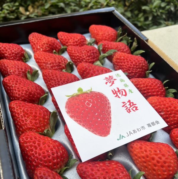 《頂級嚴選》徳島阿波夢物語草莓禮盒 