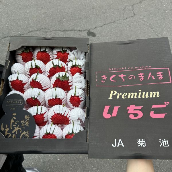 頂級【極致香甜】熊本菊池黑盒糖蜜 