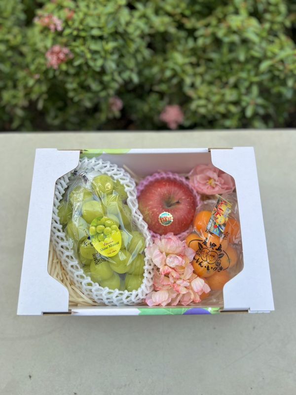 《新年禮盒》神馬龍賀 