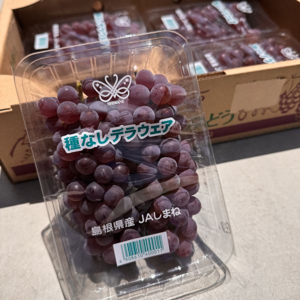 【原箱免運】島根縣珍珠葡萄PE盒 