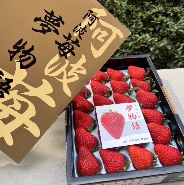 《頂級嚴選》徳島阿波夢物語草莓禮盒 
