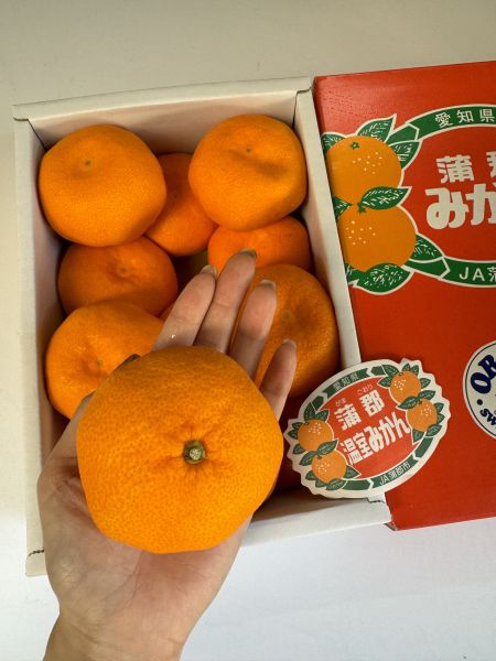 愛知縣蒲郡溫室蜜柑禮盒 