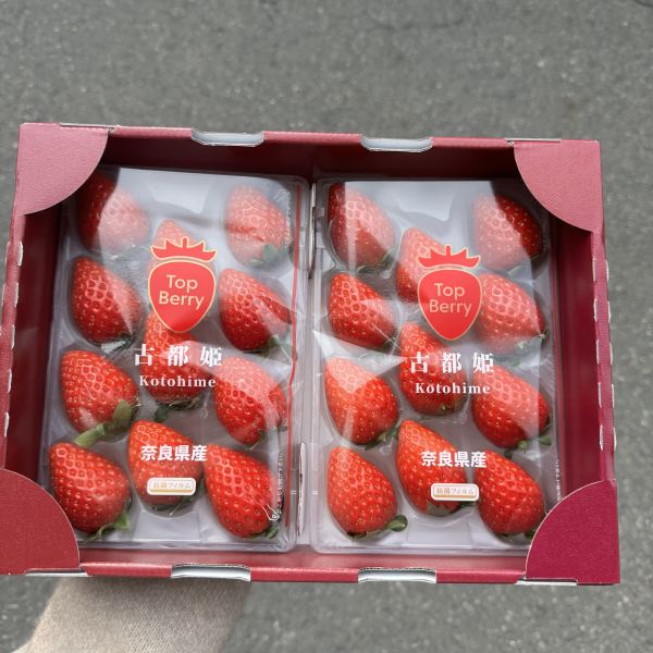 奈良TopBerry古都姬草莓 