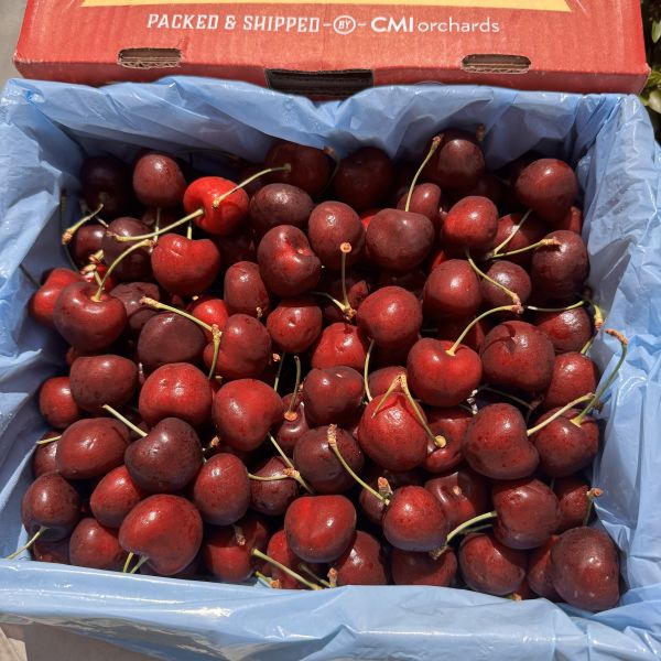 【大顆果】華盛頓空運8.5R紅櫻桃 