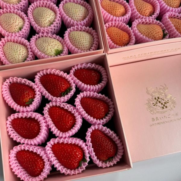 【頂級規格】奈良天皇三色草莓禮盒 