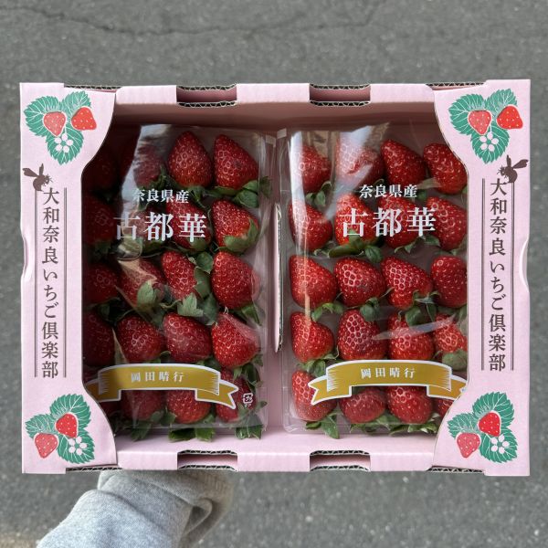 奈良古都華草莓 