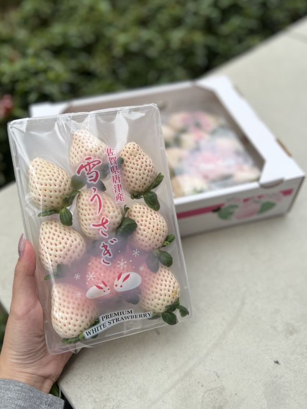 【香甜雪白】佐賀唐津雪兔白草莓 