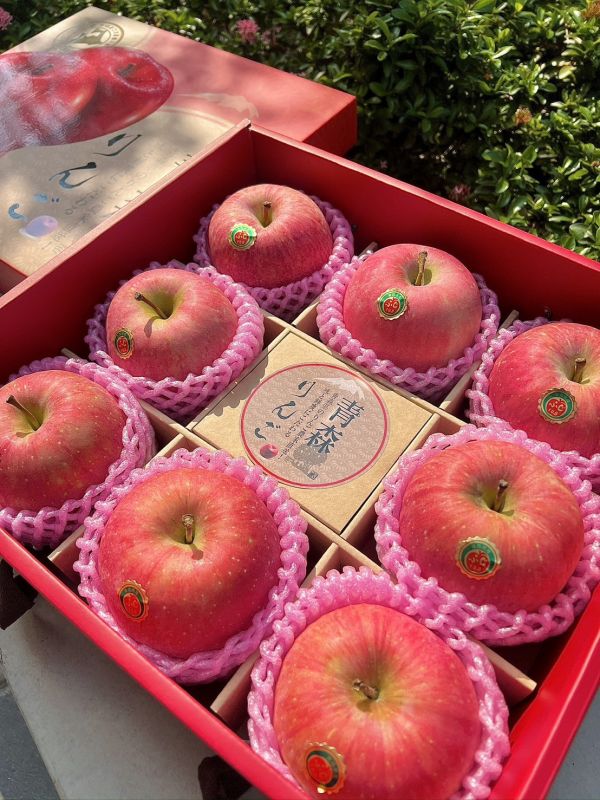《新年禮盒》日本青森8顆蘋果禮盒 