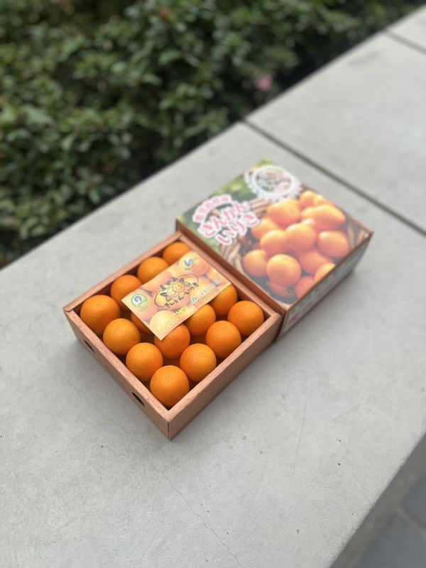 鹿兒島金桔排排站禮盒 