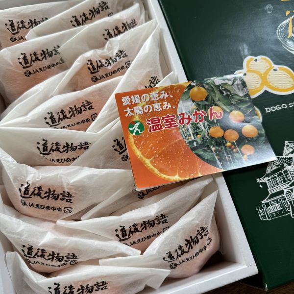 愛媛道後物語蜜柑禮盒 