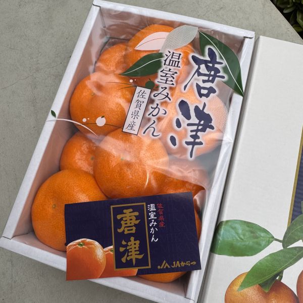 佐賀唐津蜜柑禮盒 