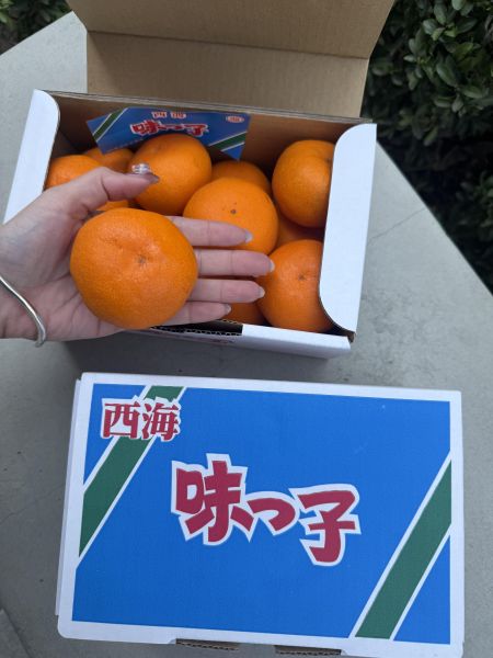 【必吃爆甜】西海味之子蜜柑1.2公斤 