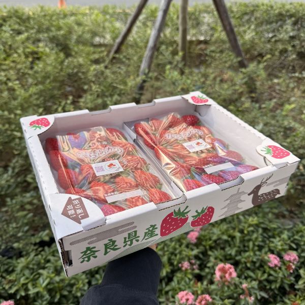 《新品種》奈良之光 