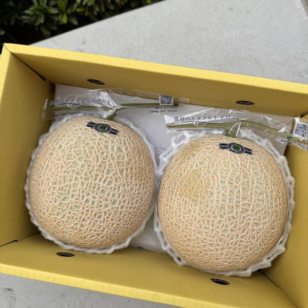 【優惠中】高知縣青肉哈密瓜 