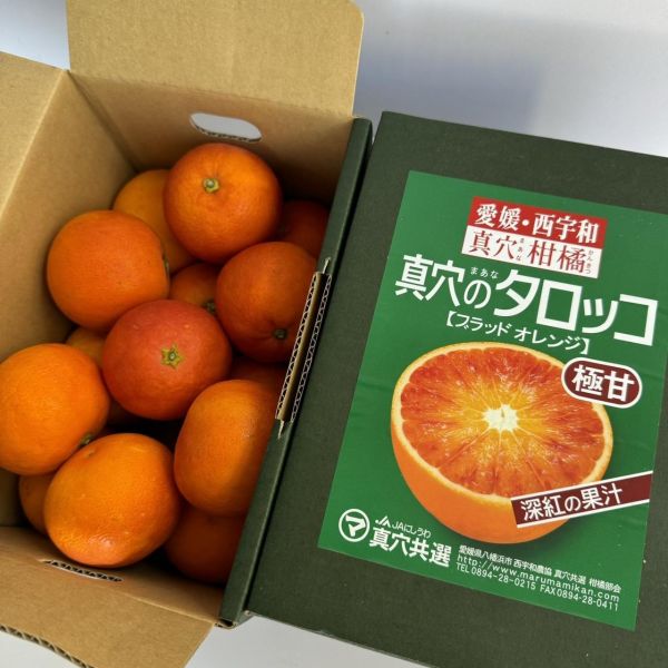 《營養滿分》日本愛媛真穴血橙 