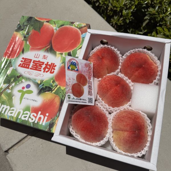 免運【夏日必嚐】山梨縣溫室水蜜桃 