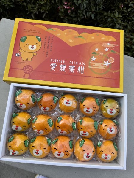 日本愛媛狗狗蜜柑禮盒 