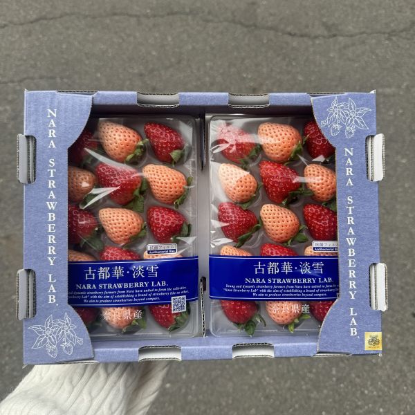 奈良雙色草莓 