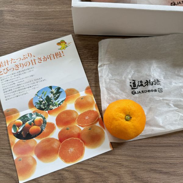 愛媛道後物語蜜柑禮盒 