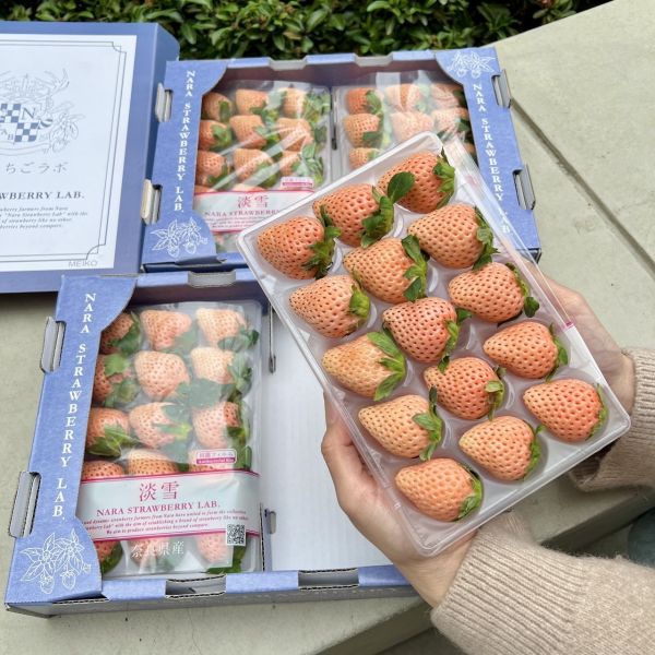 【夢幻品種】奈良淡雪草莓 