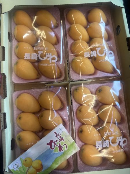 【嚐鮮盒】長崎茂木溫室枇杷 