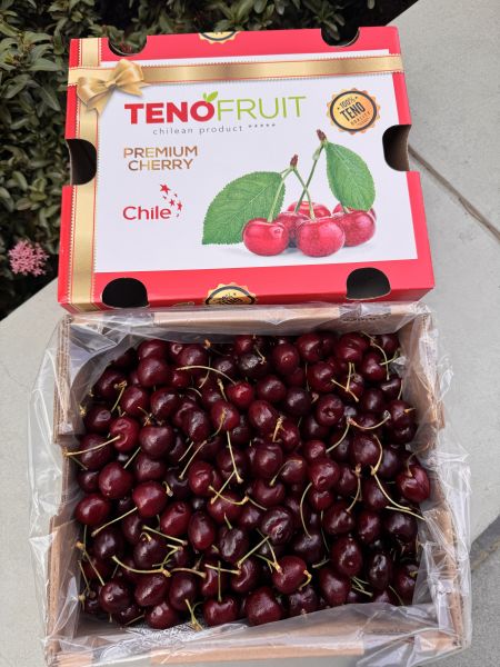 《高CP》智利海運紅櫻桃 