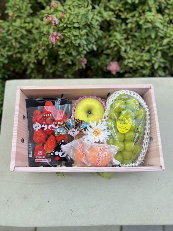 《新年禮盒》龍馬舞吉 