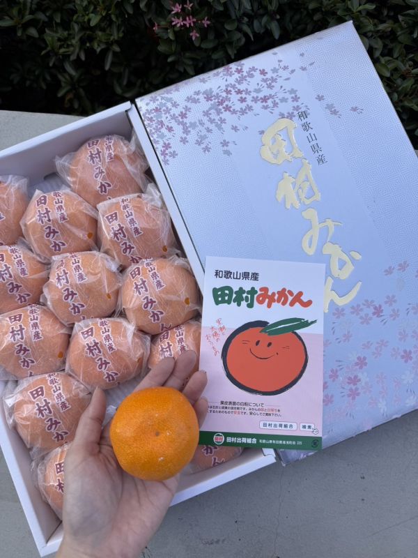 和歌山銀田村蜜柑禮盒 