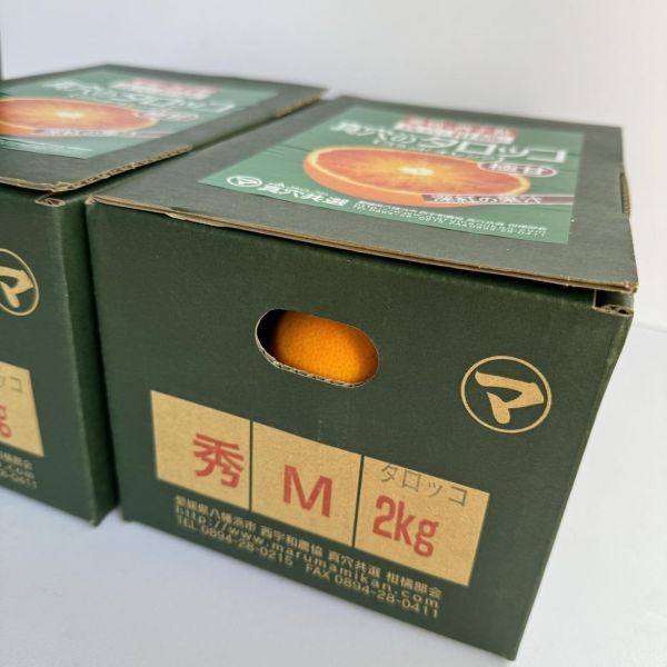 《營養滿分》日本愛媛真穴血橙 