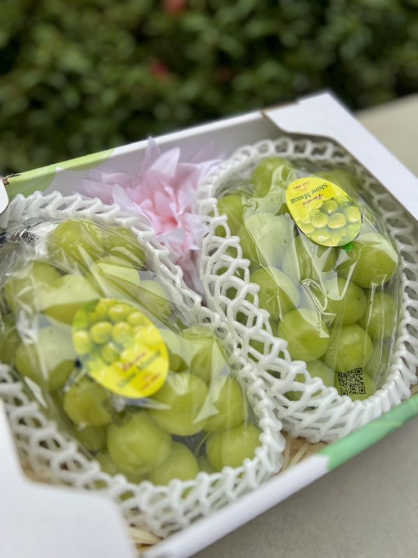 《新年禮盒》雙串麝香葡萄禮盒 