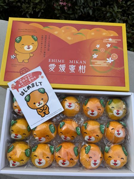 日本愛媛狗狗蜜柑禮盒 