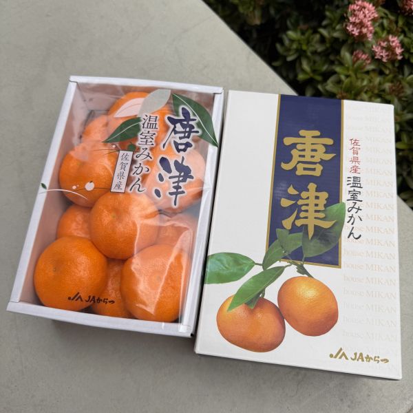 佐賀唐津蜜柑禮盒 