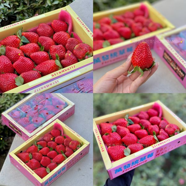 《預購中》苗栗大湖萬發統多多草莓 