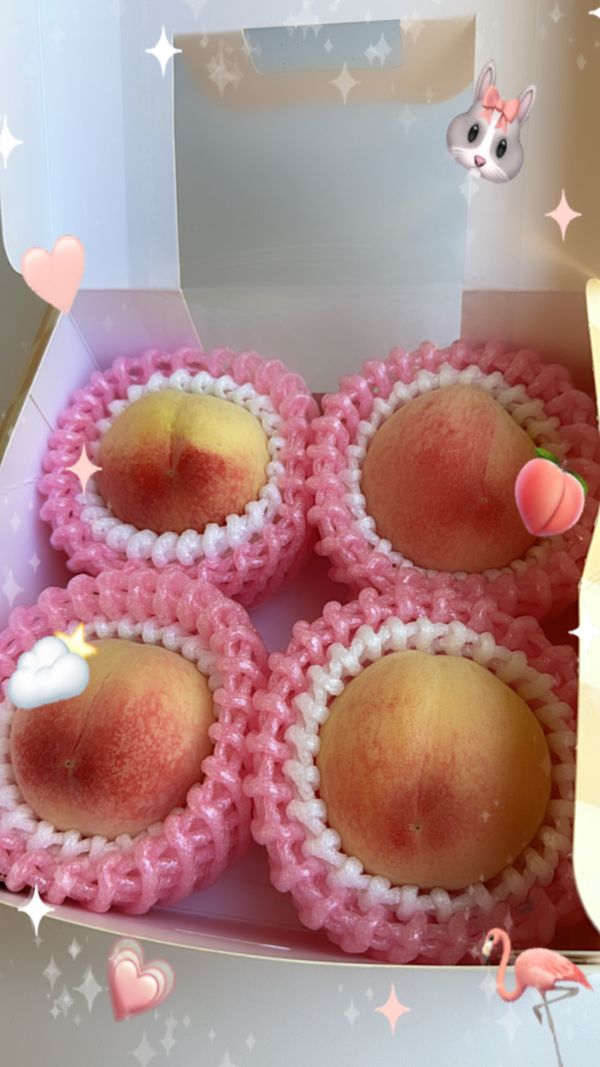 壽康桃野餐盒 