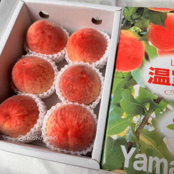 【夏日必嚐】山梨縣溫室水蜜桃 